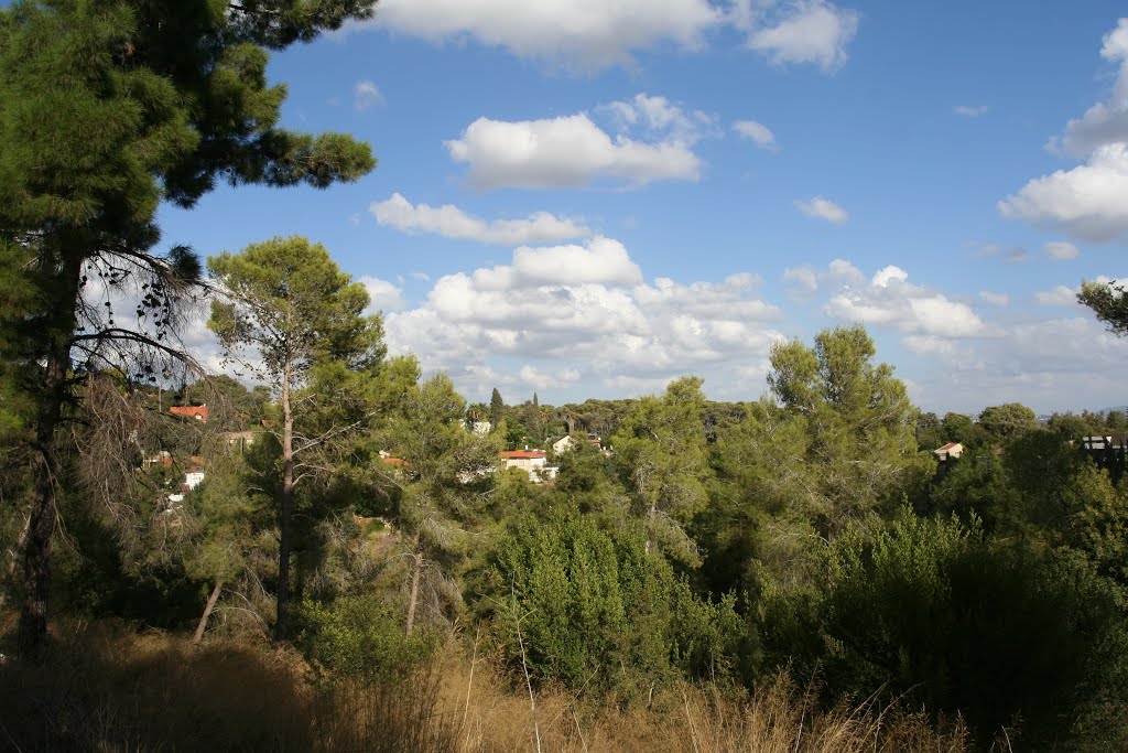 Autumn Sky, between Zaid hills and Tivon