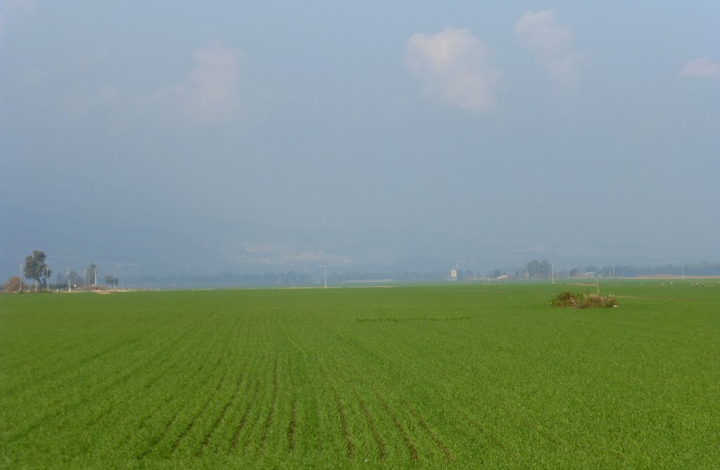 GREEN FIELDS WONDERFUL WORLD ISRAEL GALILL