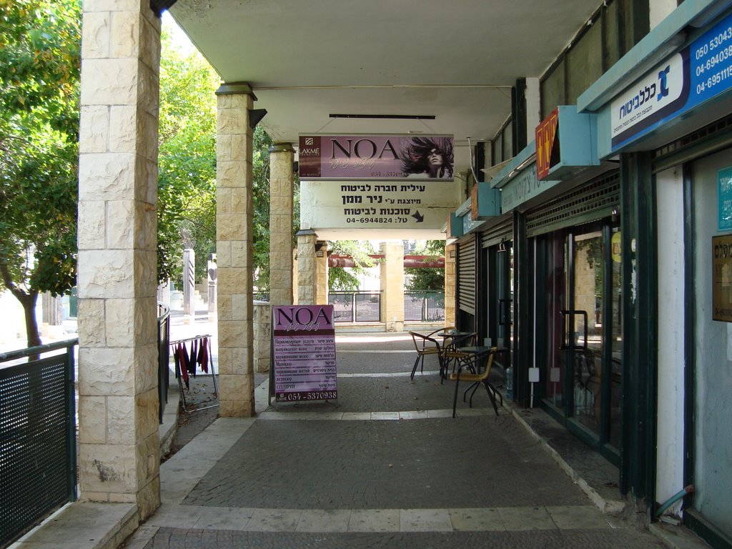The Old Shopping Center