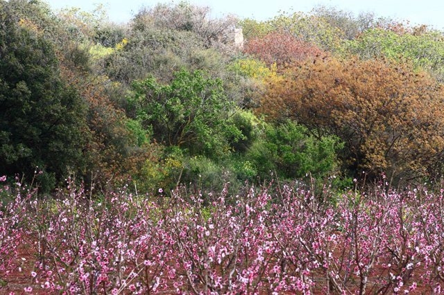 Israel_Trail_Tel-Hai_to_Yesha