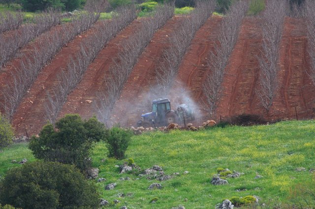 Israel_Trail_Tel-Hai_to_Yesha