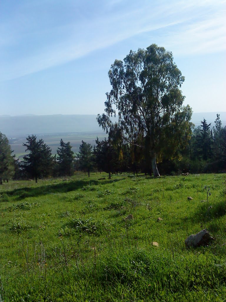 דרך הנוף