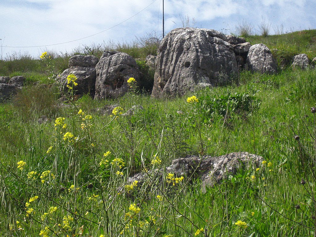 Kiryat Shmonas nature
