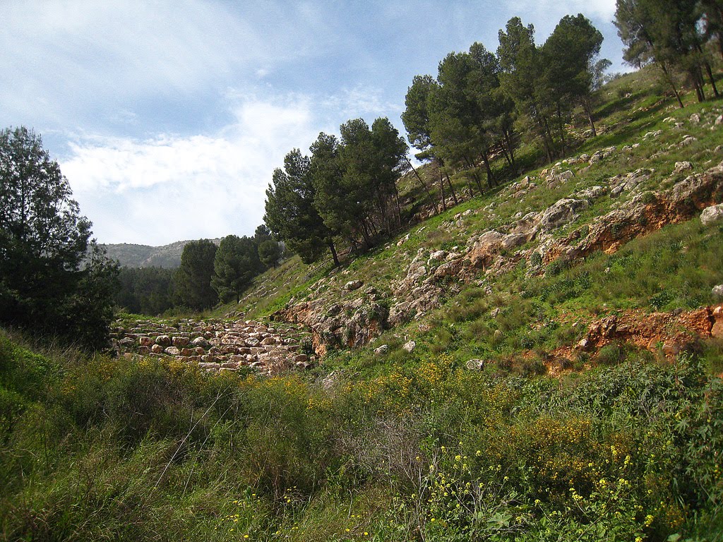 Above Kiryat Shmona