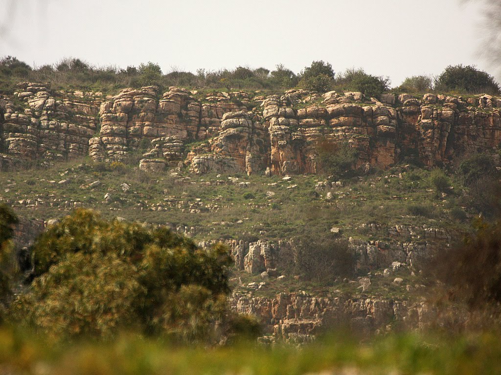 Nature above Kiryat Shmona
