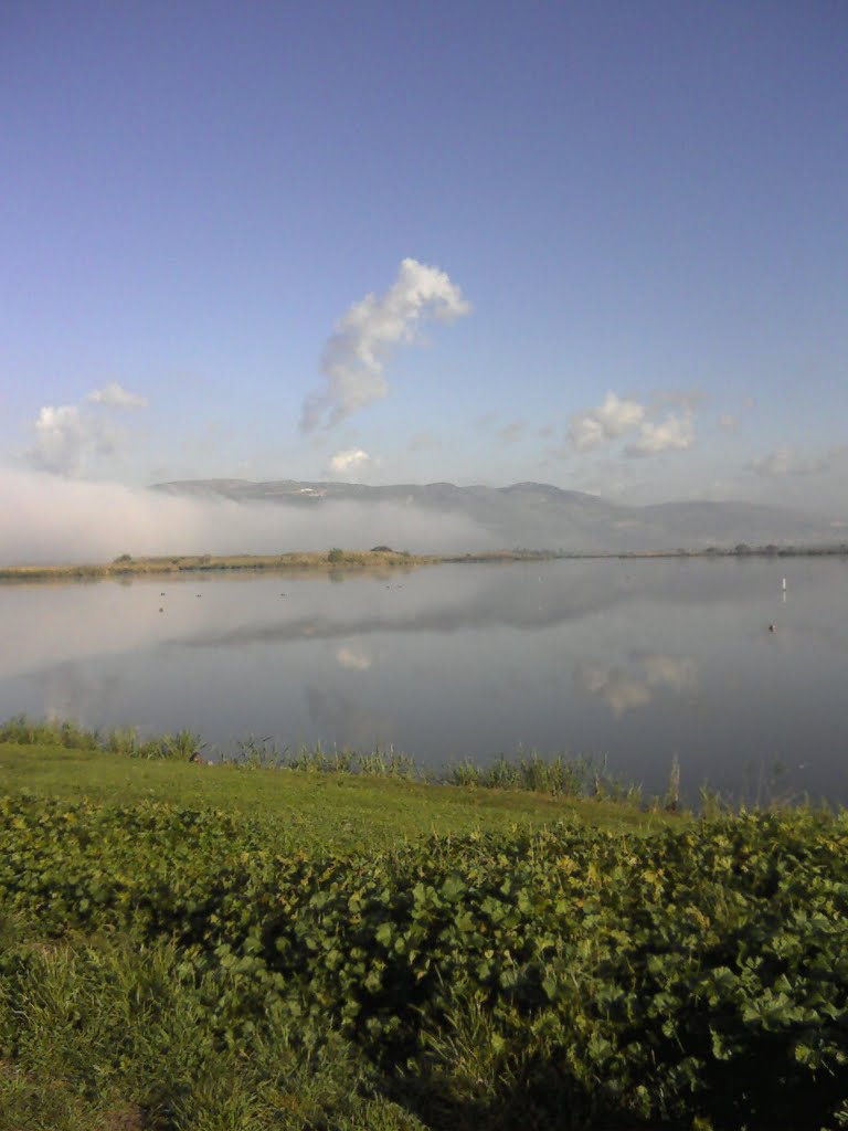 View of Agmon Hachula