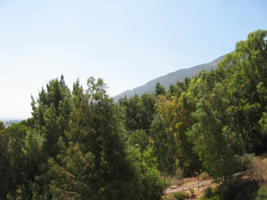 Trees and mountains seen from the cable car