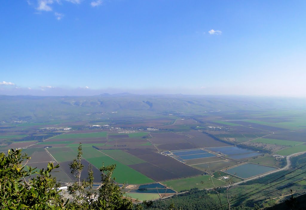 HAHULA VALLEY