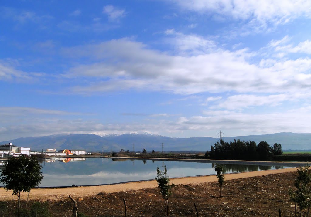 Ain Ebel