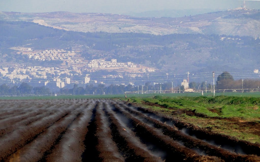 FIELDS