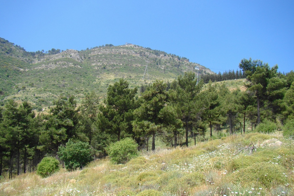 Israel. Ramot Naftali (Naphtali Ridge)