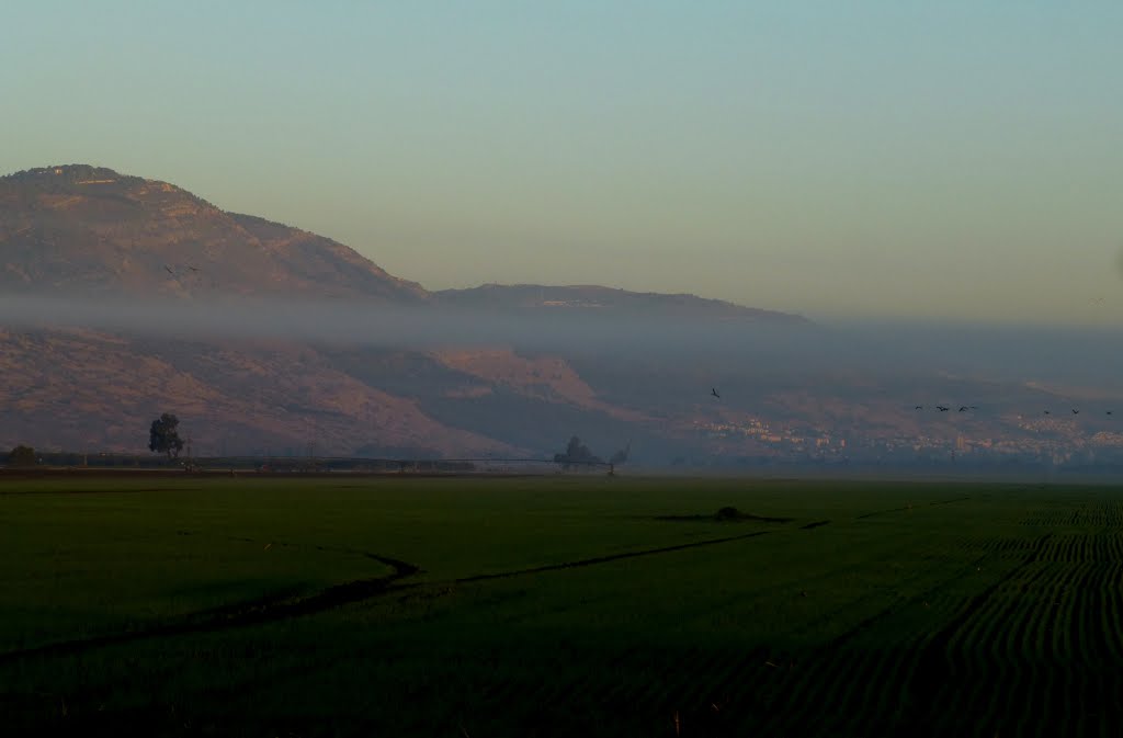 MORNING LIGHT KIRYAT SHMONA