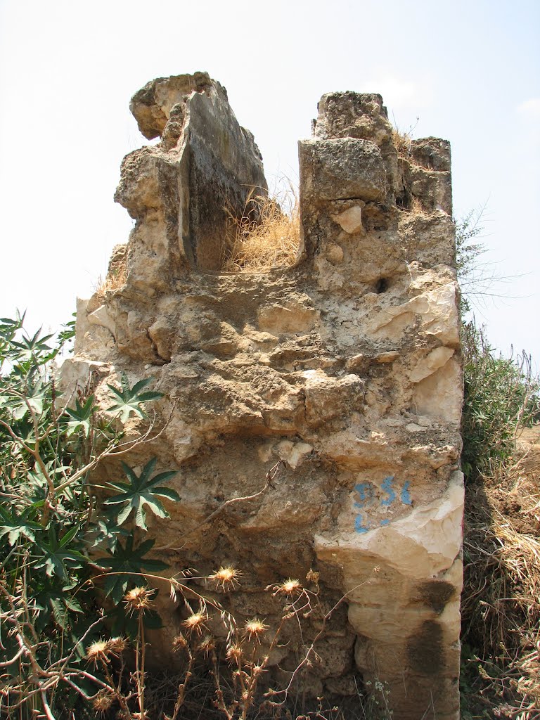 Ben Ami, the Antique Aqueduct 6, Israel