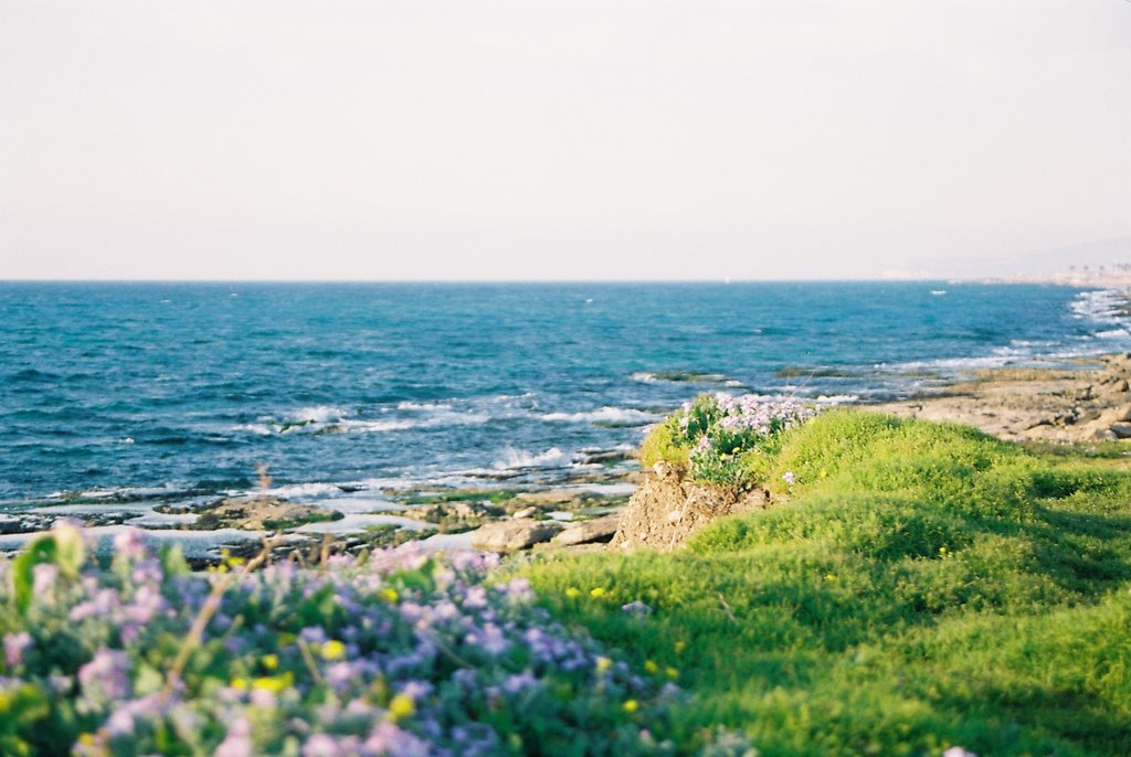 Nahariya beach