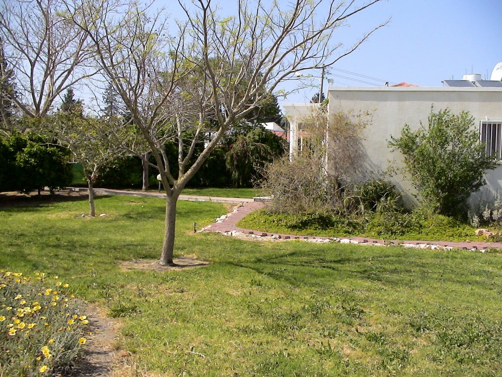 Tel Huy 10