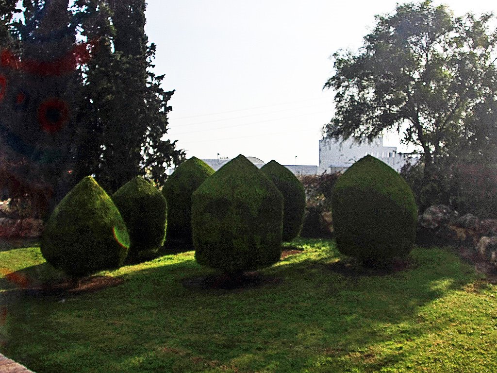 Nahariya garden trees