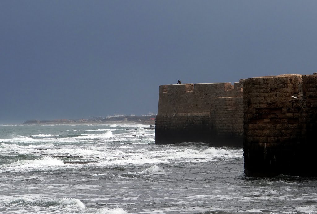 WINTER THE WALL