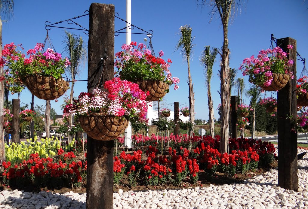 STREETS OF NAHARIYA