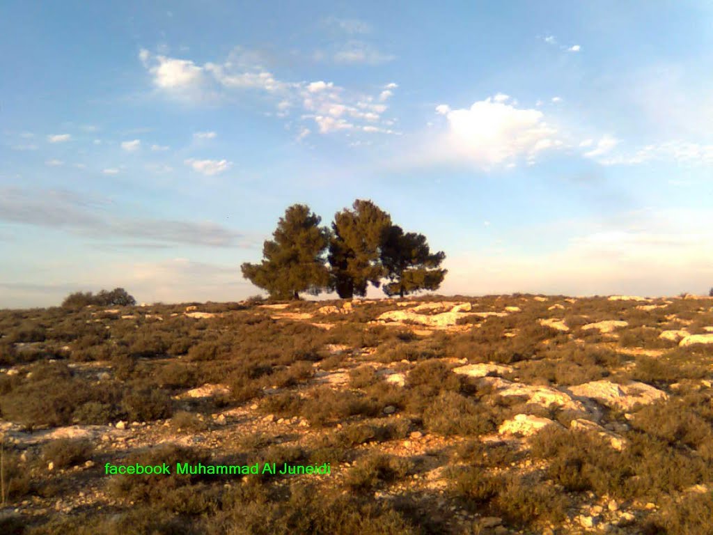 Dayr Sāmit