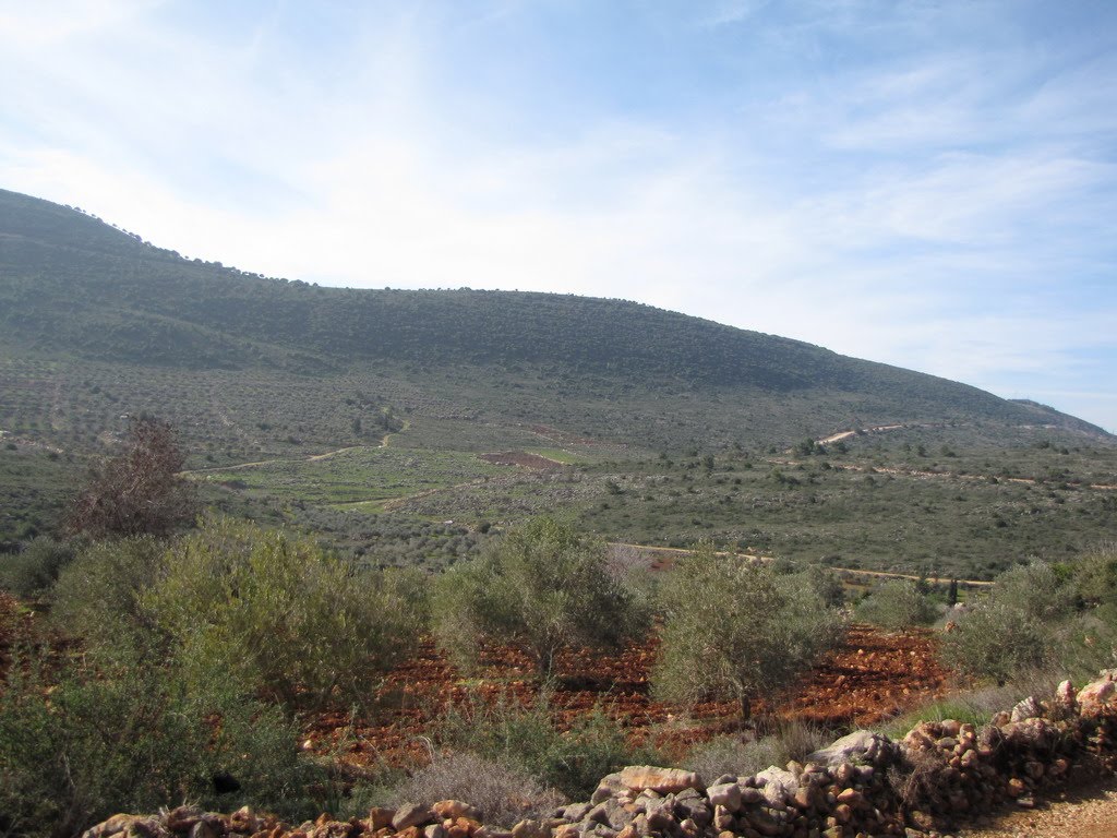Saknin, General view at the village 2, Israel
