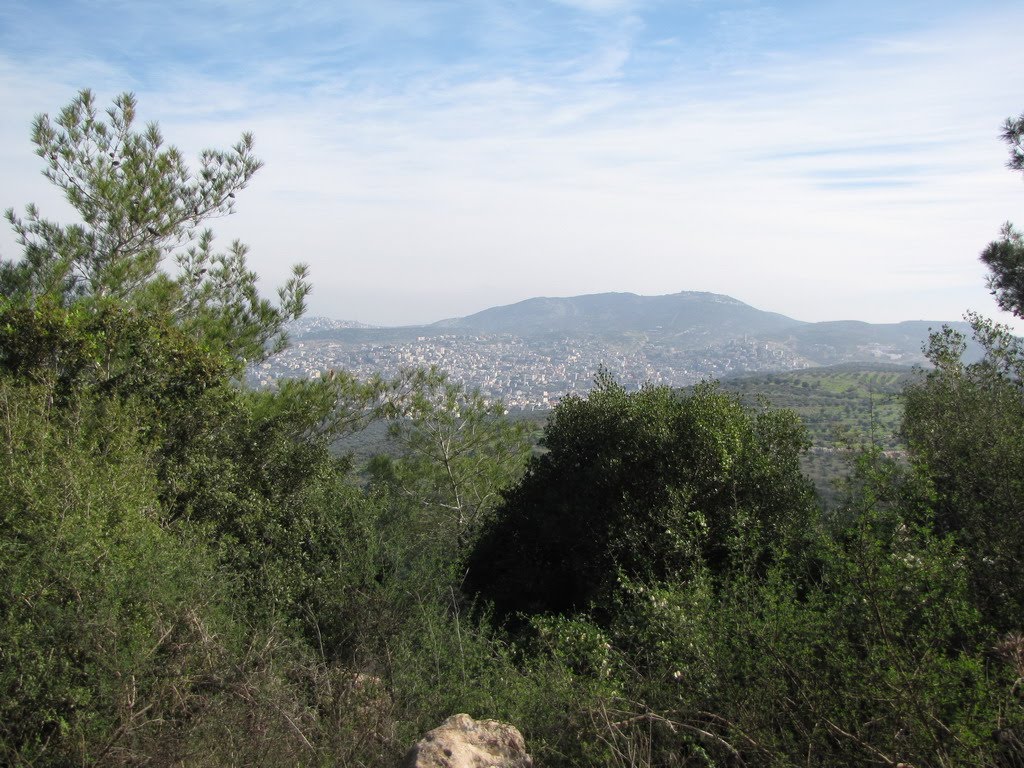 Araba, General View, Israel