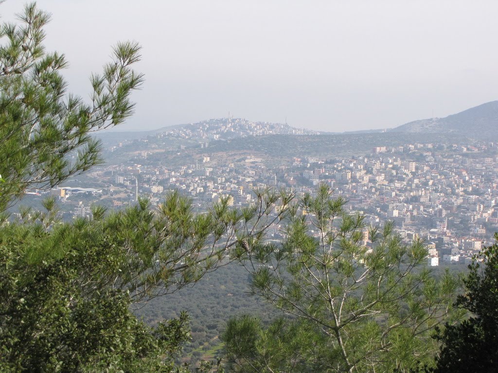 Araba, General View 4, Israel