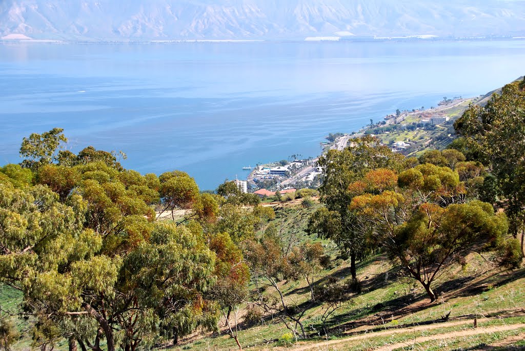 The Sea of Galilee Shore