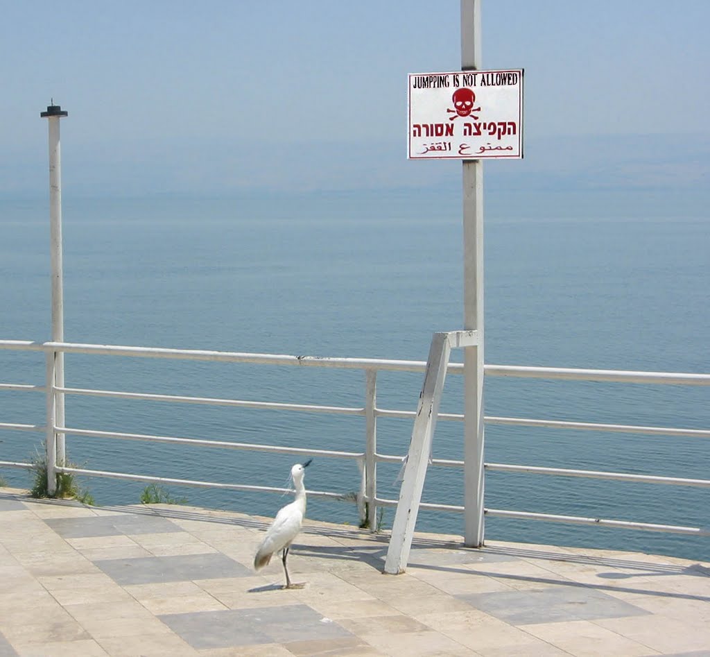 Jumping is not allowed