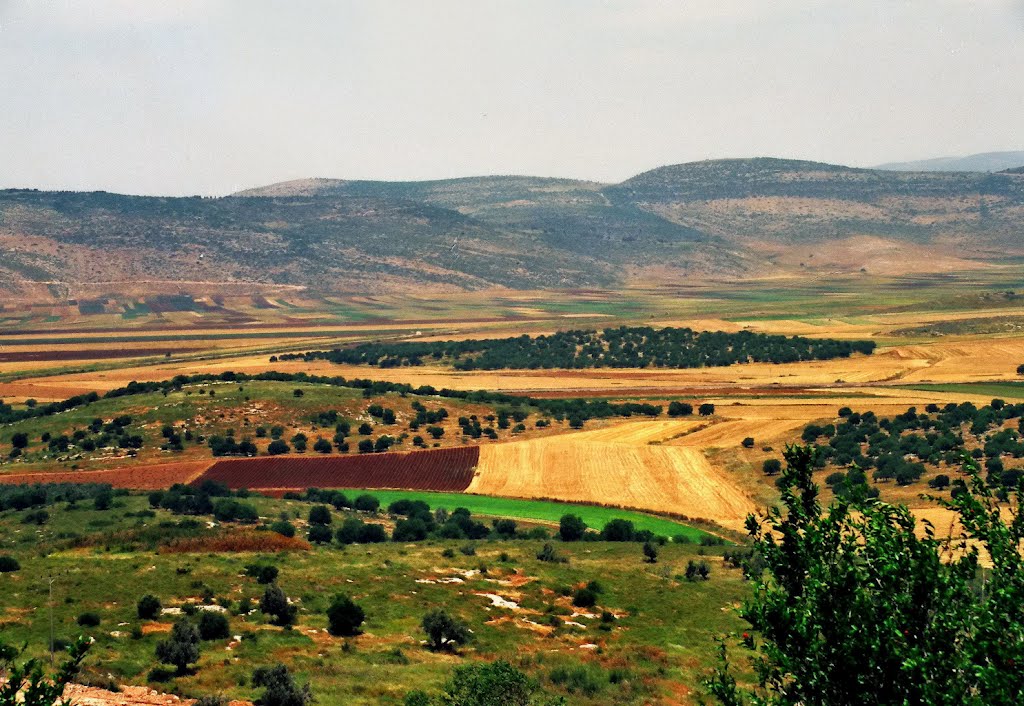 Tiberias - Israel - ישראל - טבריה