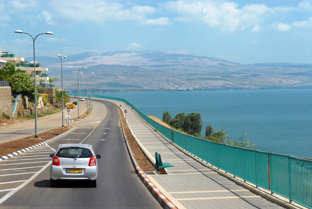 The June paints of Israel ...           Не пустыней единой жив человек...
