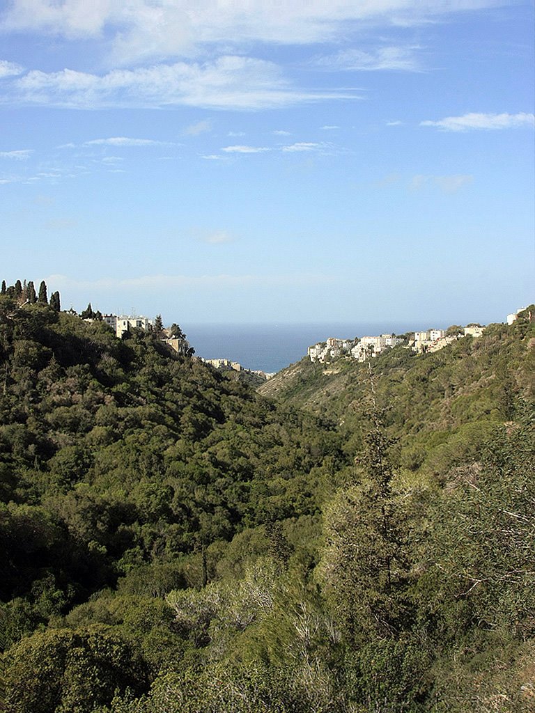 Haifa from the Zoo