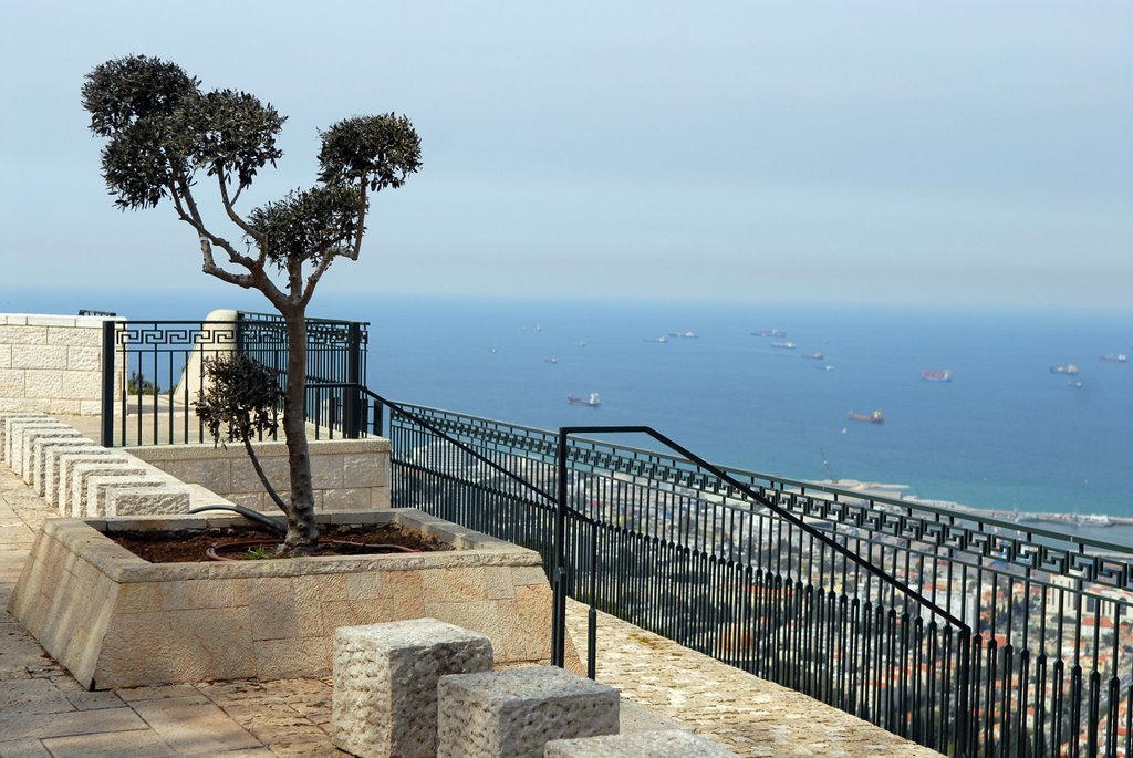 Haifa. Blick from Louis Promenade.