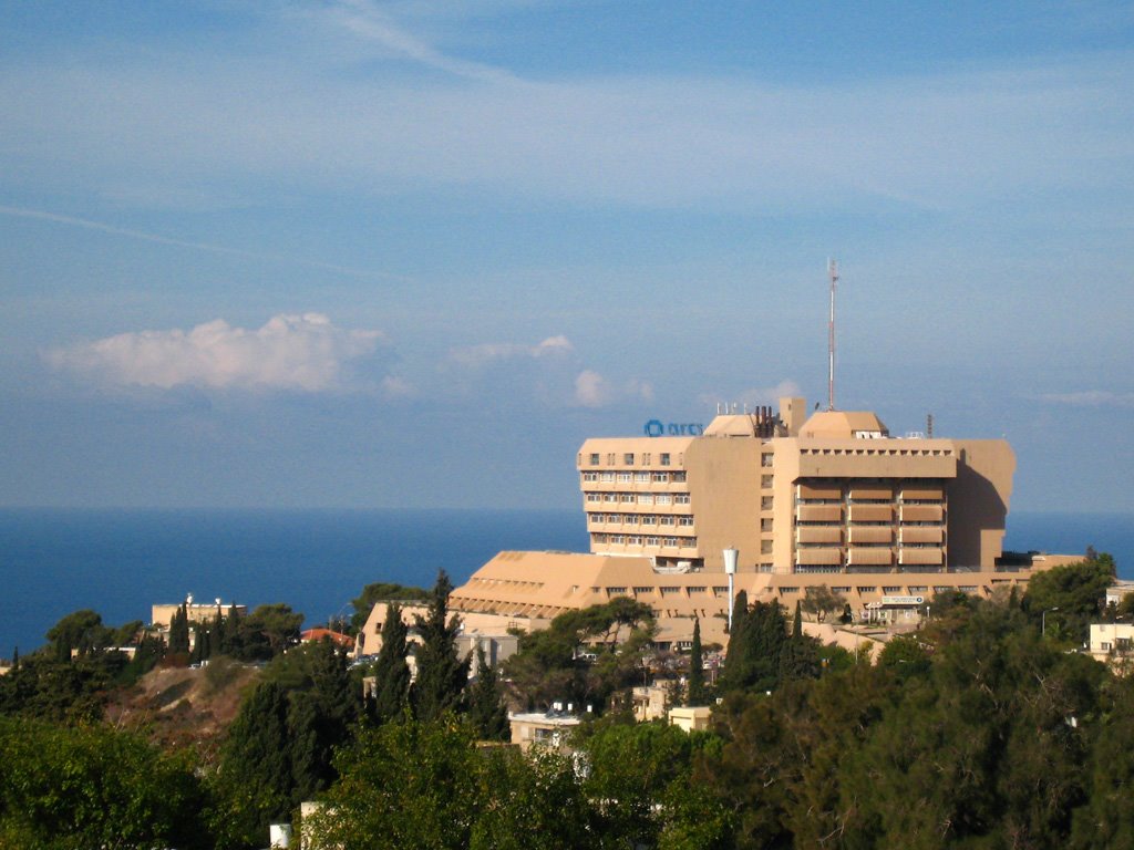View on Carmel Hospital