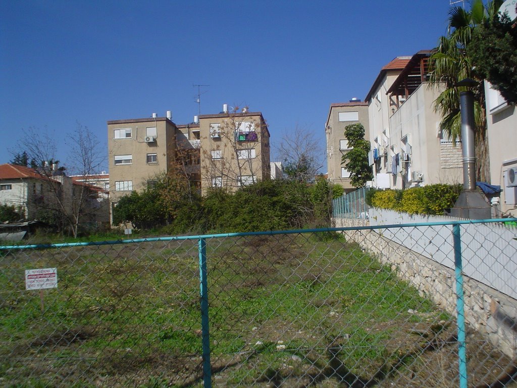 Haifa