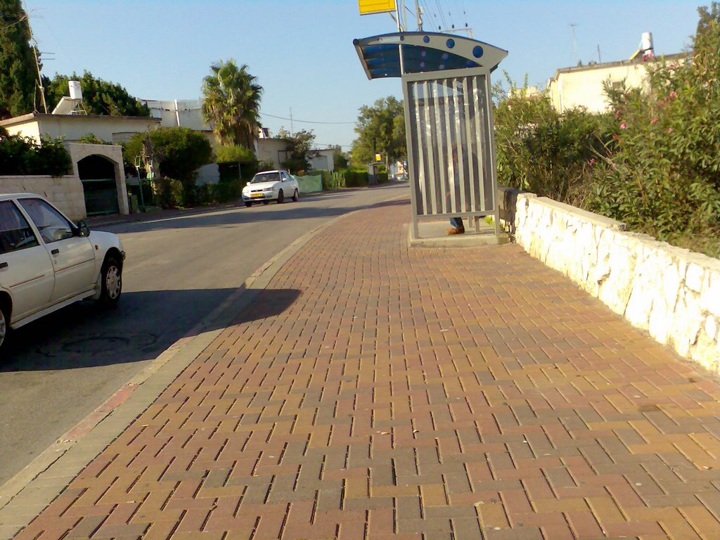 SHAVIT
