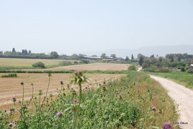 Kfar Ata & Usha