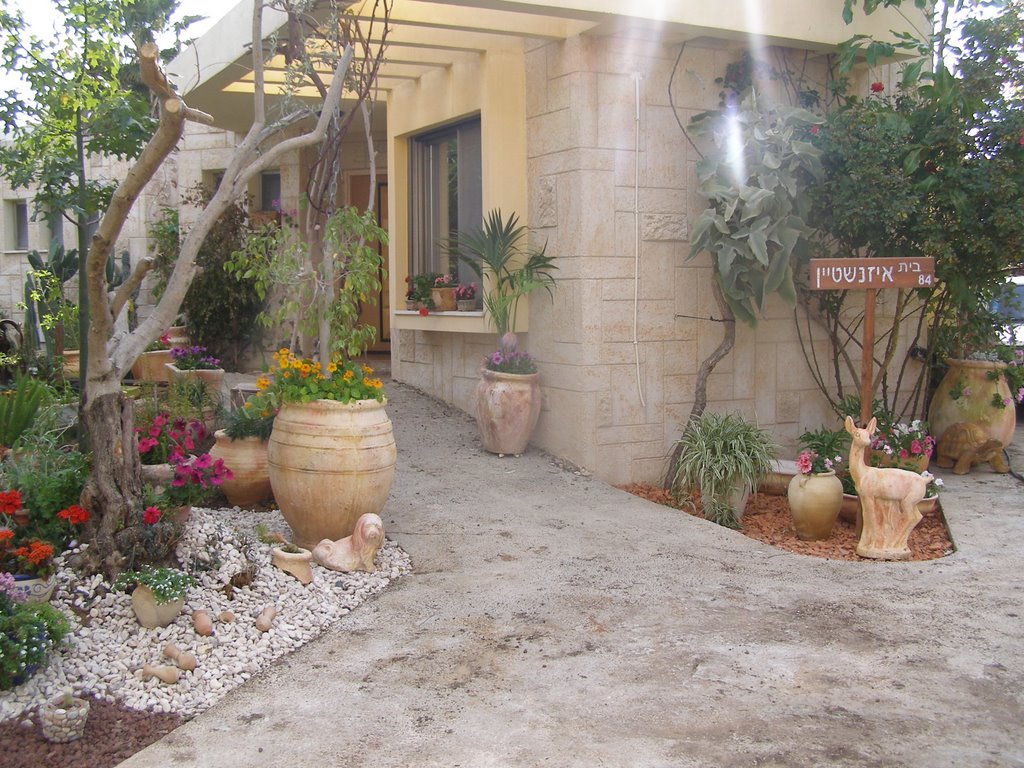 בית נדיה ודוד