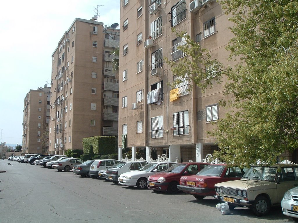 фростик