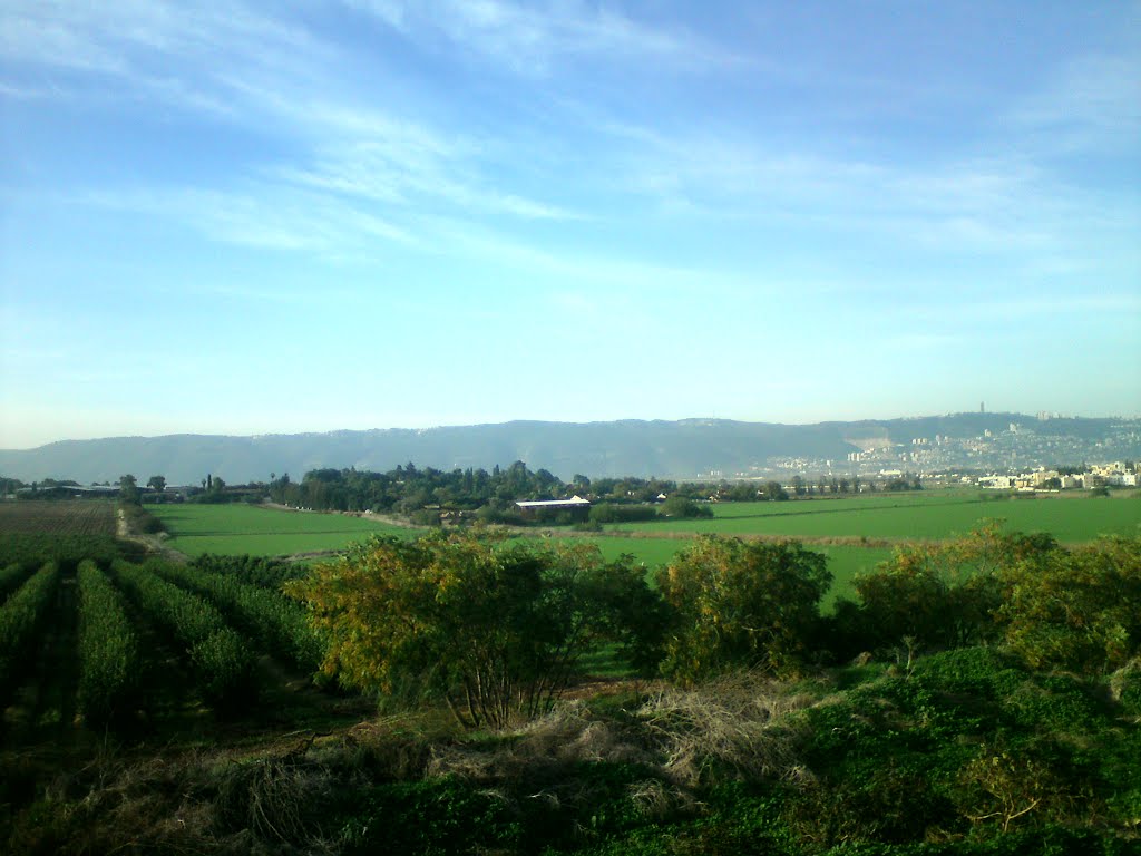 Qiryat Motsqin