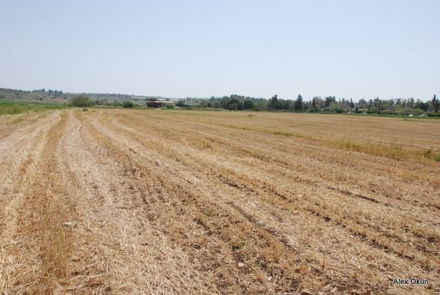 Kfar Ata & Usha