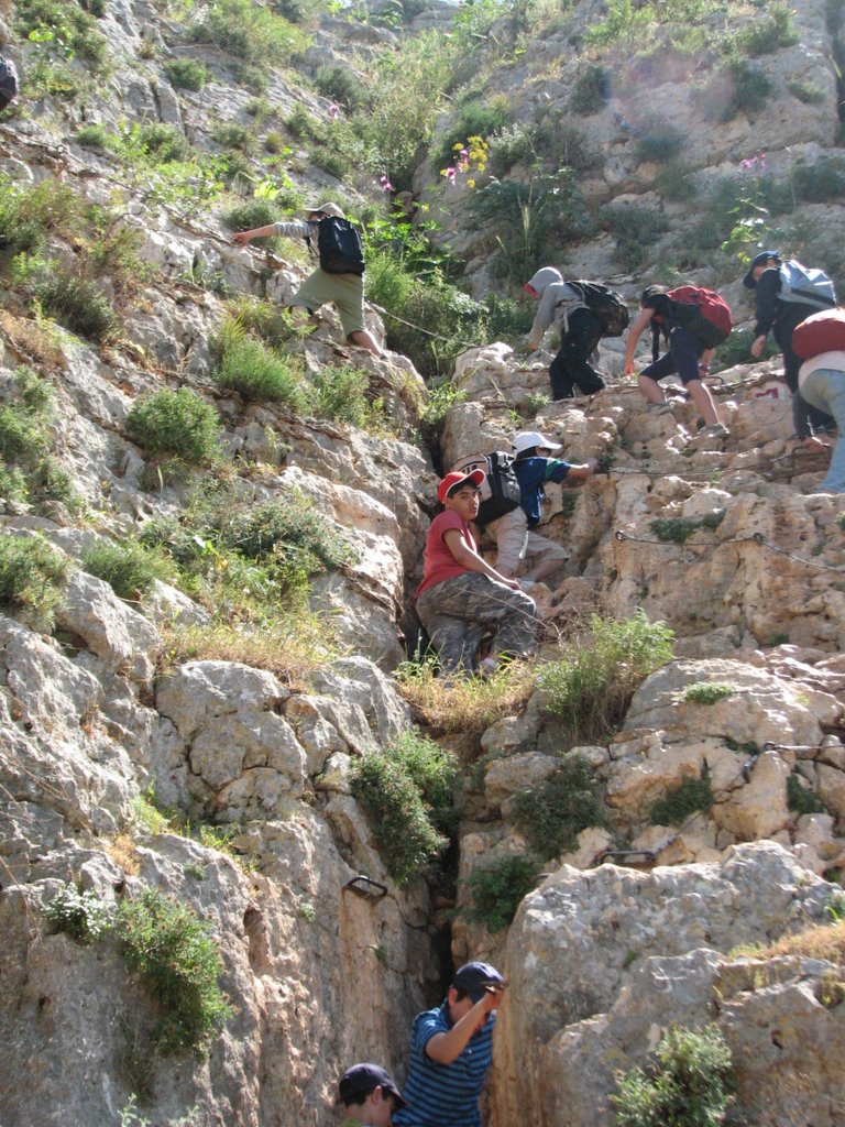 Mt ARBEL - HIKING