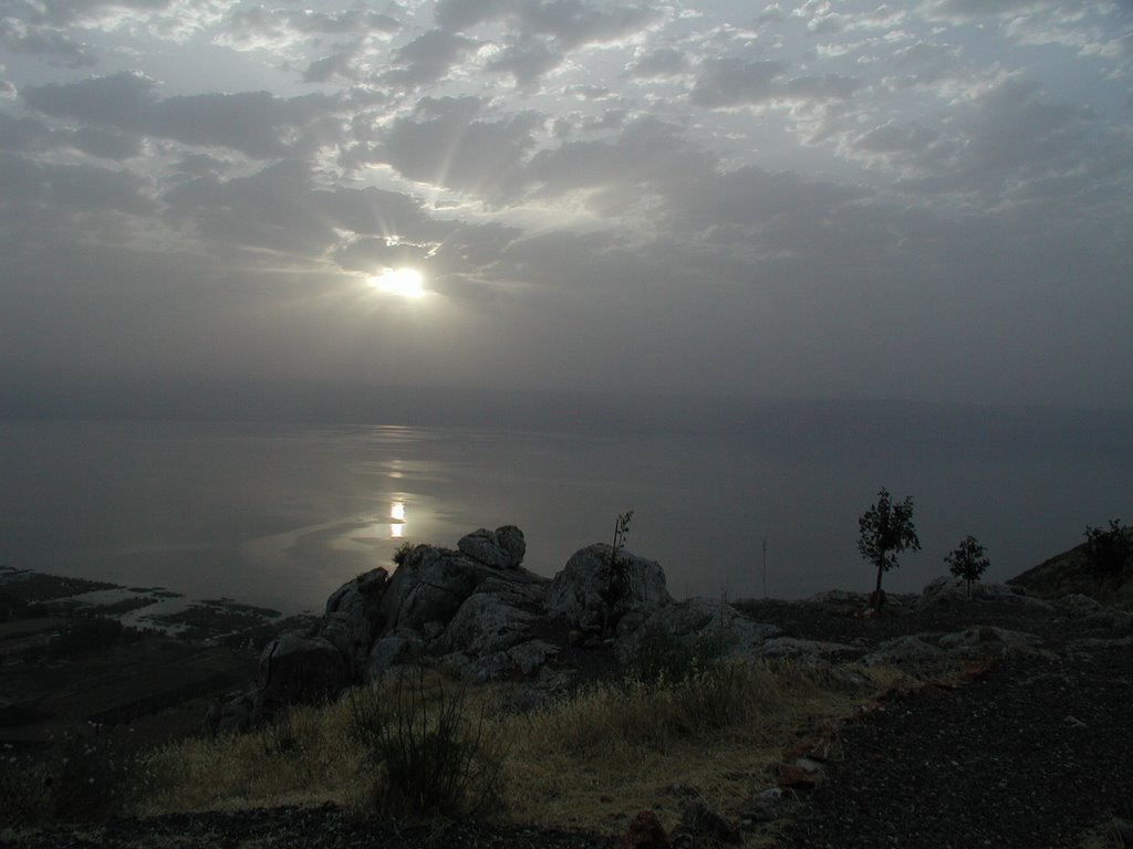 Roei viewpoint