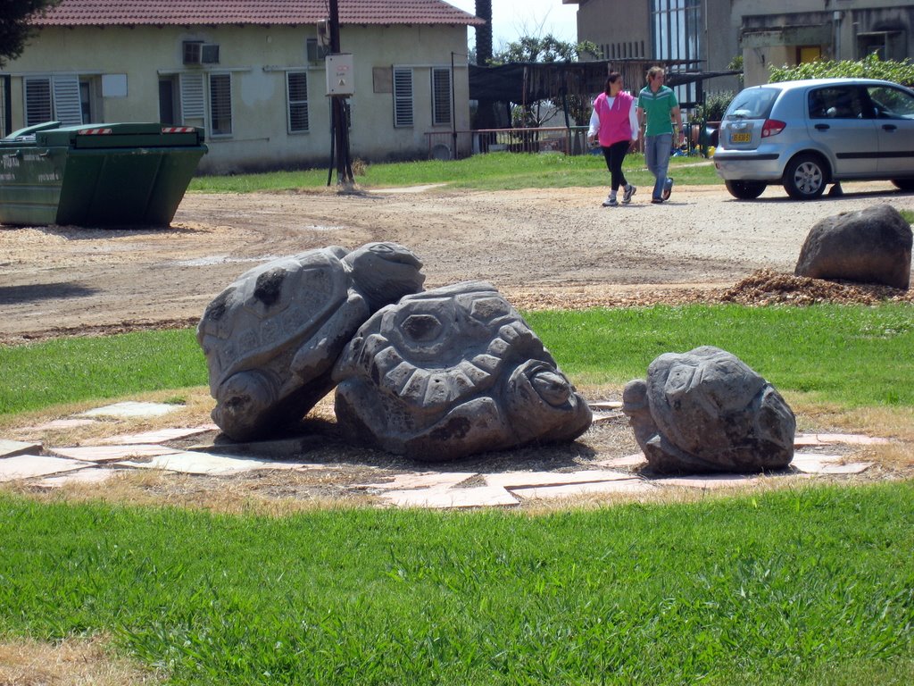 Piazza Della Zavzav, Kibbutz Genossar, Israel