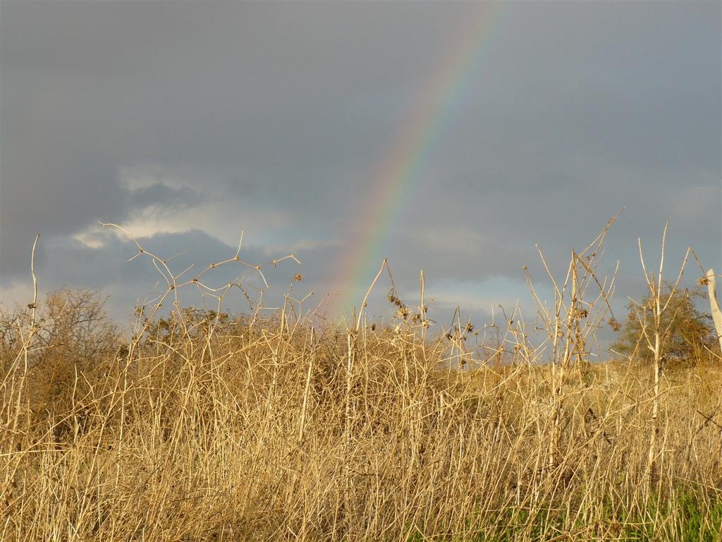 A rainbow near Tiberias