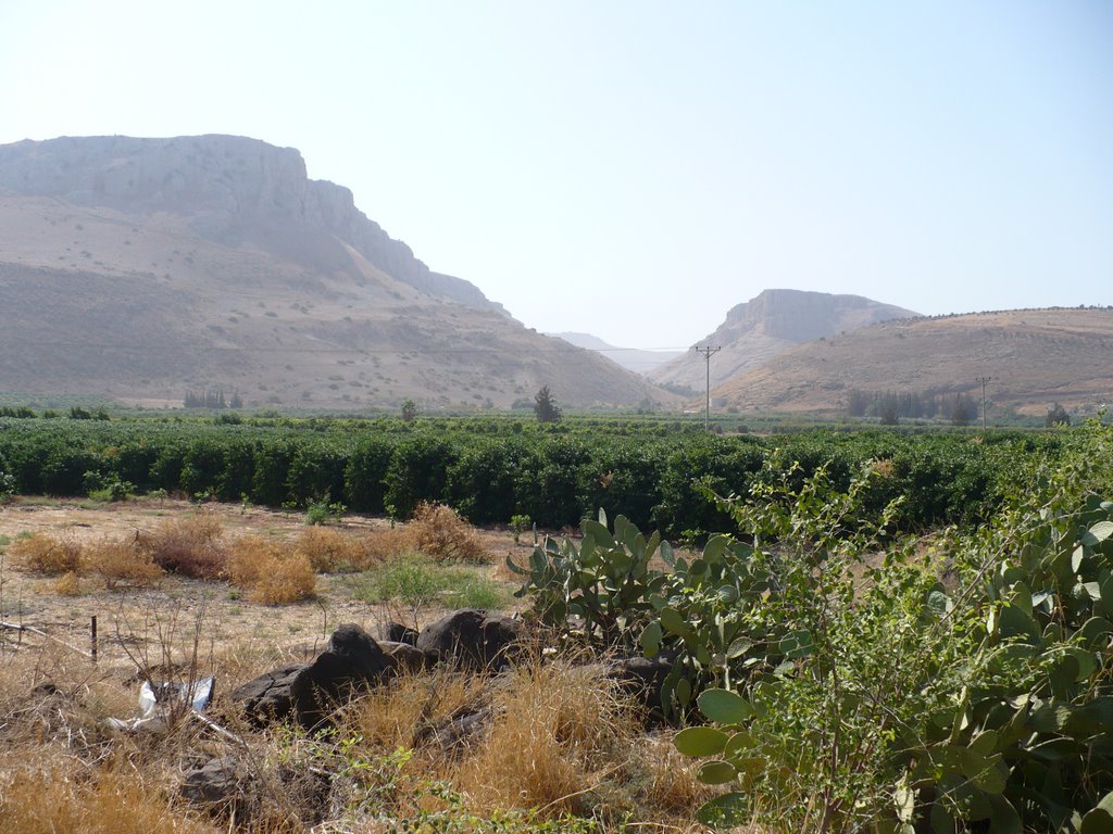 Mt. Arbel from shore of Galilee