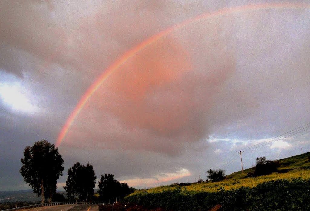 SUNRISE GALIL
