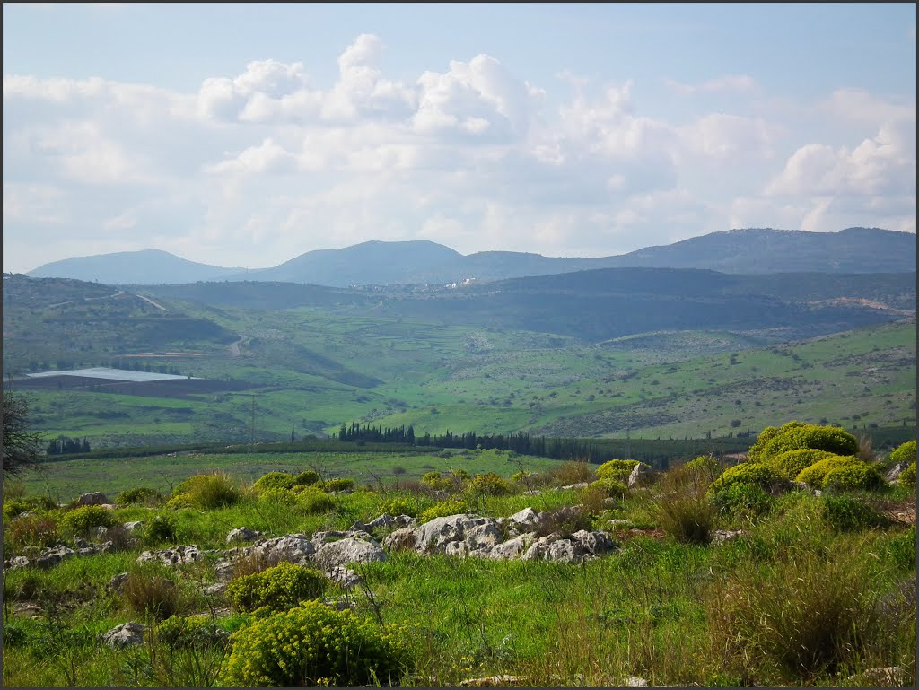 View from Mt Arbel