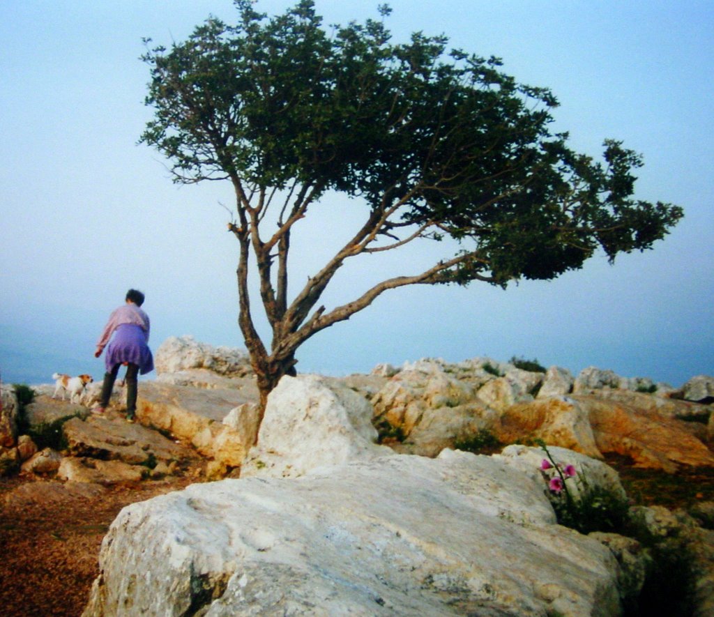 ISRAËL, Migdal: Mount Arbel near Tverya in Galilee ישראל