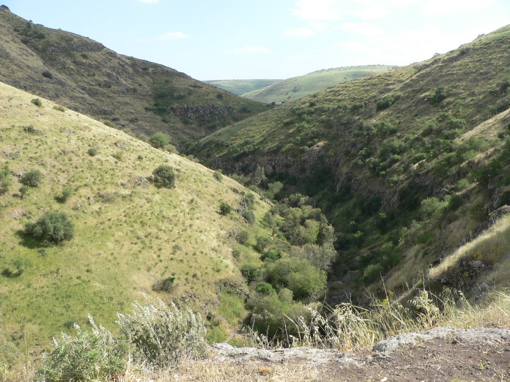 galilee