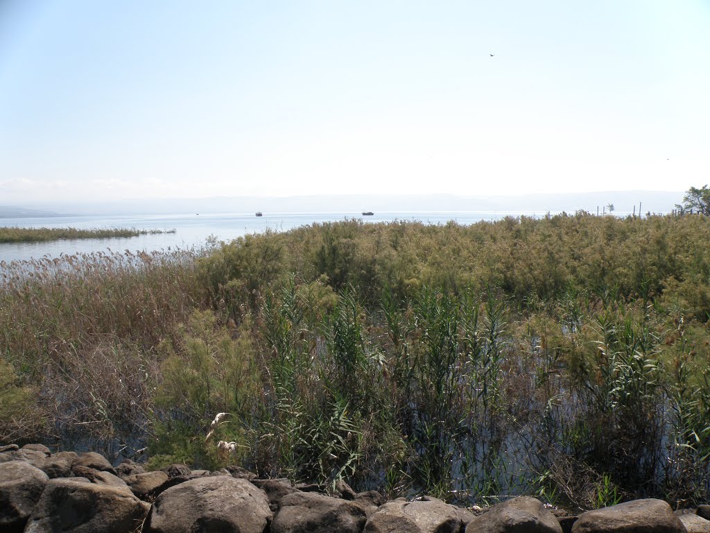 Shore of the Sea of Galilee / Břeh Galilejského jezera